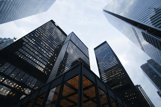 Professional & Commercial Services